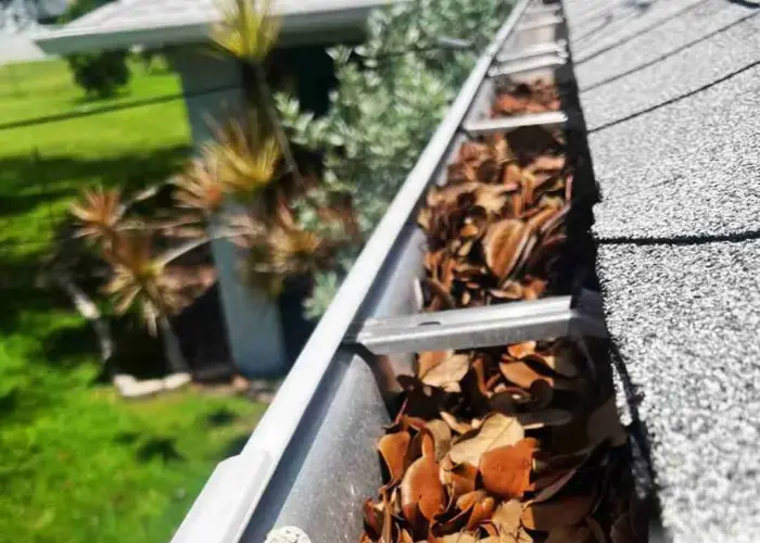 Dover gutter cleaning home page
